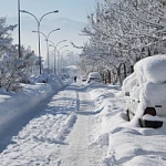 Tb W150 H150 Cut Int 24a14aa09edc0d3bd635cc2de678f3d4