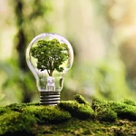 Tb W150 H150 Cut Int A5ed32e9294de53002313d5b9a044b68